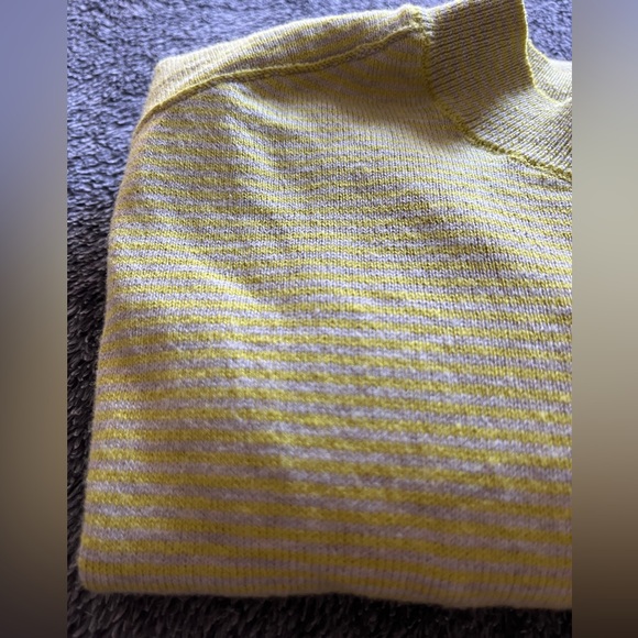 Everlane The Organic Cotton Crewneck Striped Sweater - Picture 11 of 11